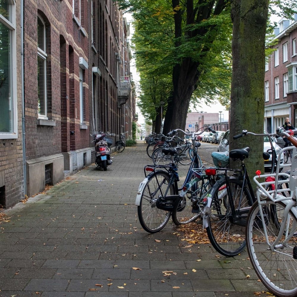 Ergernis over Dutch only-kameradvertenties