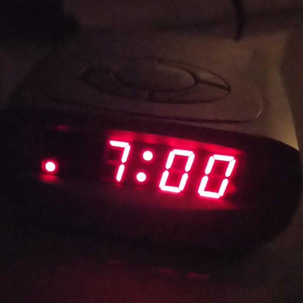 Het raadsel van het slaapritme