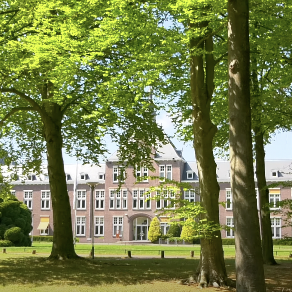Maastrichtse hoogleraar raakt opleidingsbevoegdheid kwijt