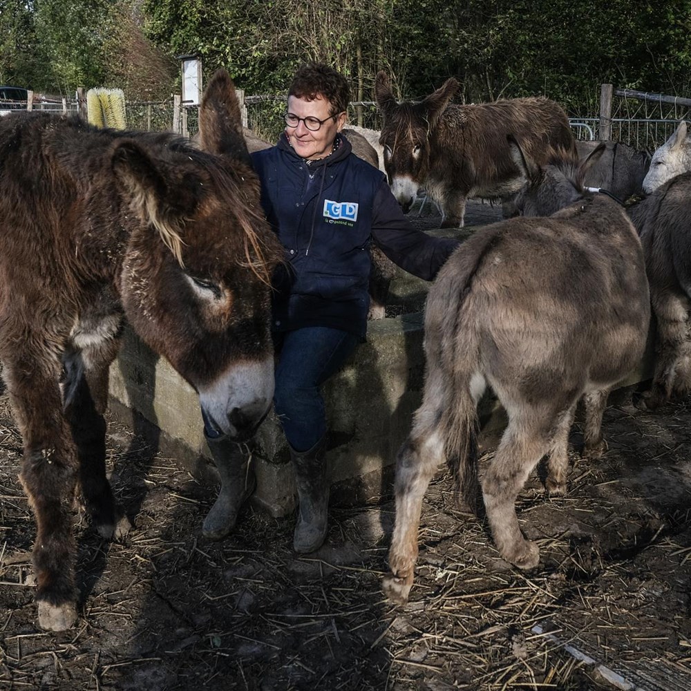 Meer dan alleen ezels knuffelen
