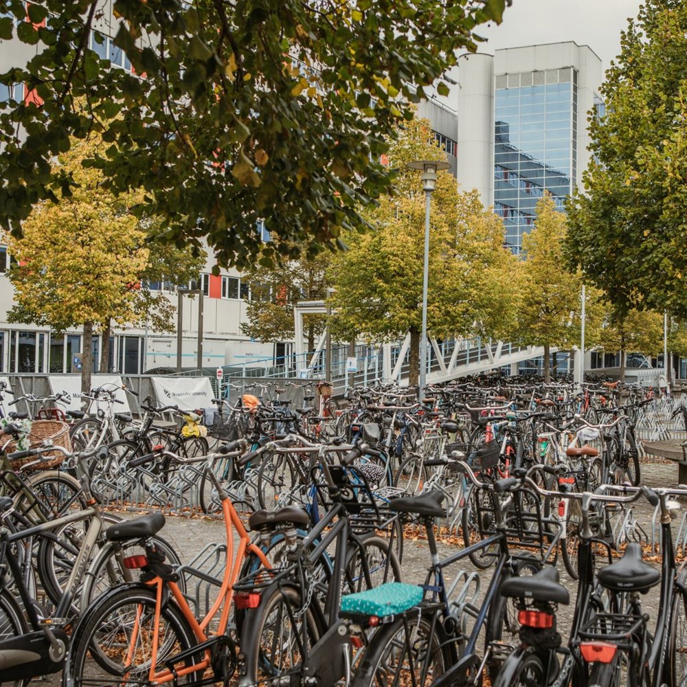 Voorstel: extra werkplekken voor stagiairs FHML