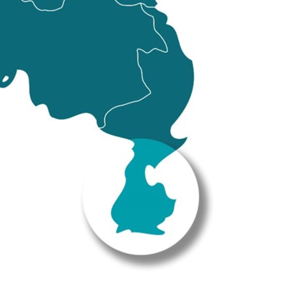 Universiteiten: 35 bacheloropleidingen krijgen Nederlandstalige variant