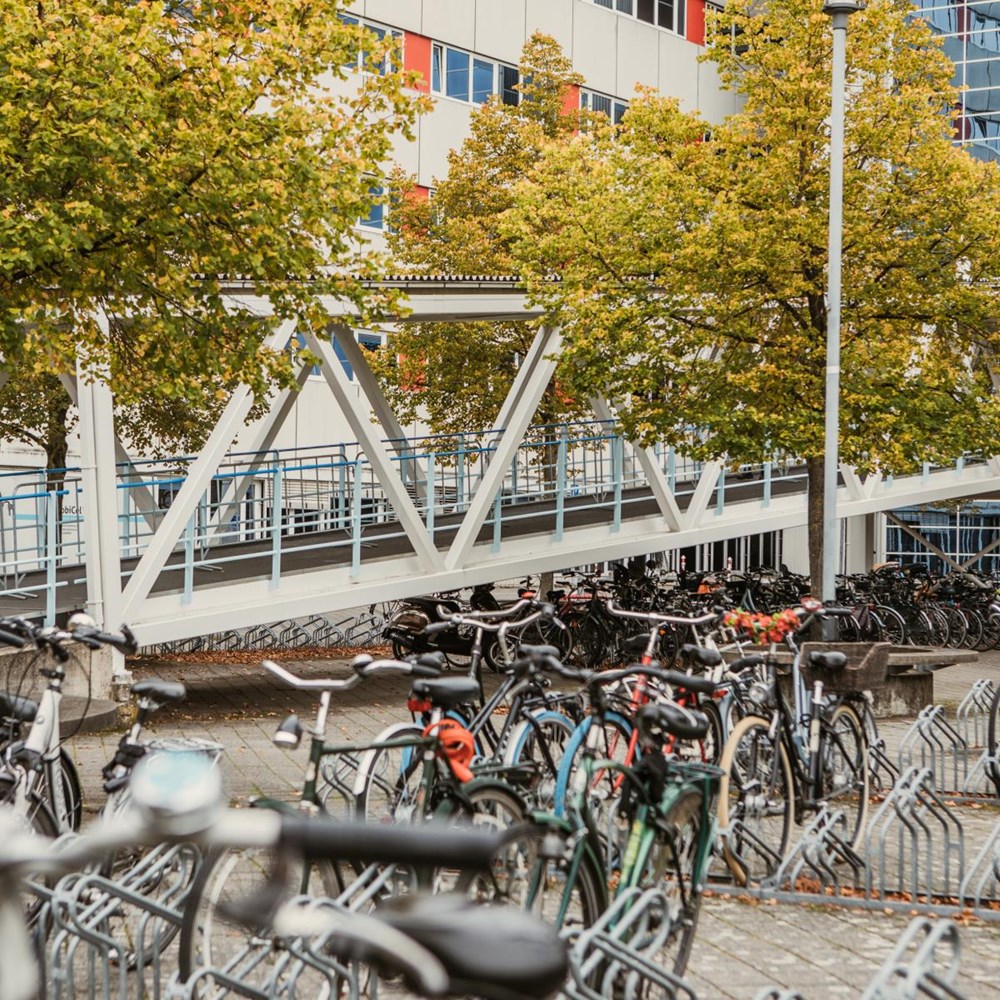  Ontslag prof FHML na valse beschuldiging