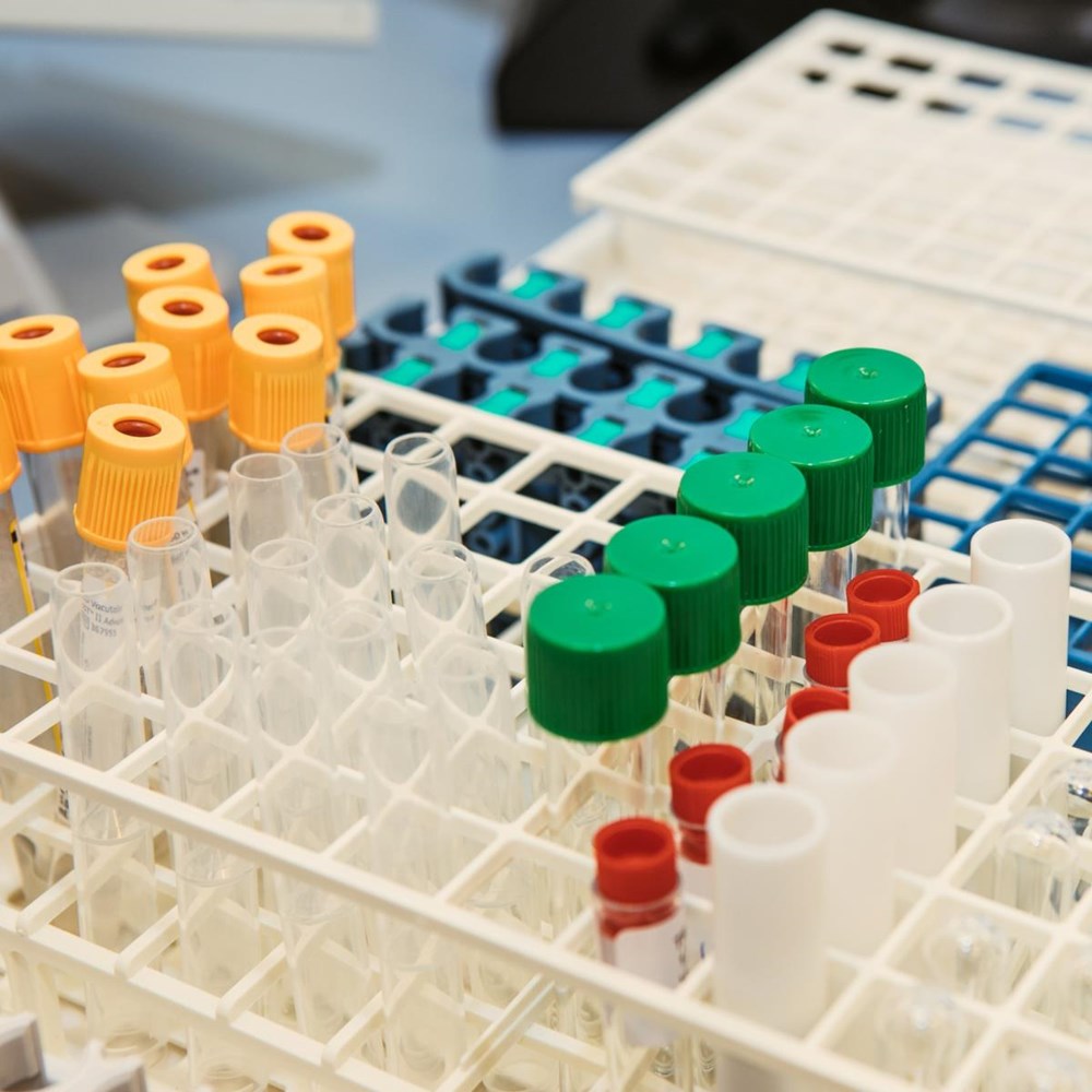 Numerus fixus Biomedical Sciences na twee jaar weer afgeschaft
