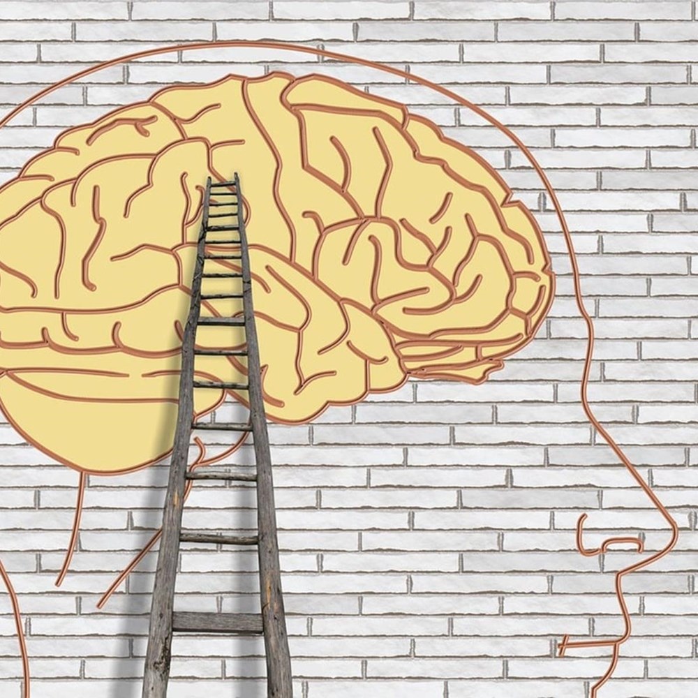 Mix selectie en loting voor beperkte plaatsen Mental Health