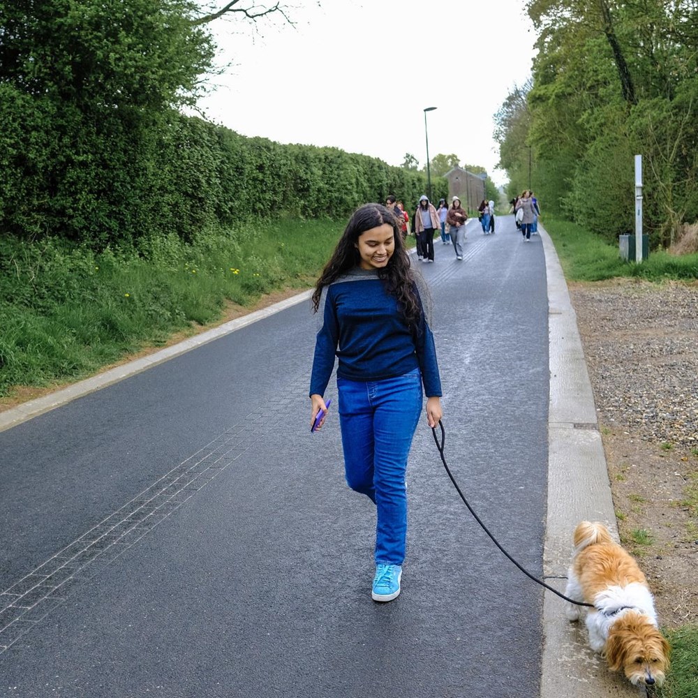 Netflix uit: rondje met de hond