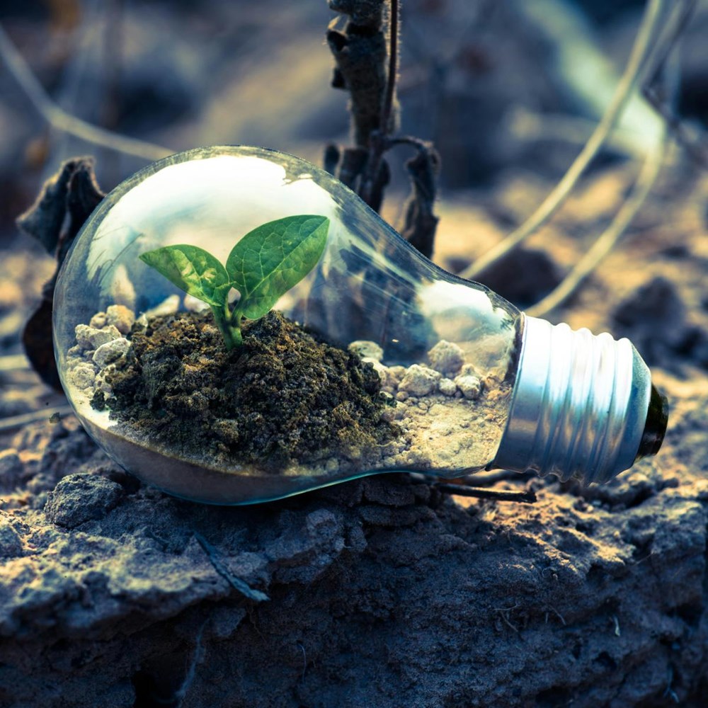 Maastricht Sustainability Institute nu ook financieel helemaal deel van SBE