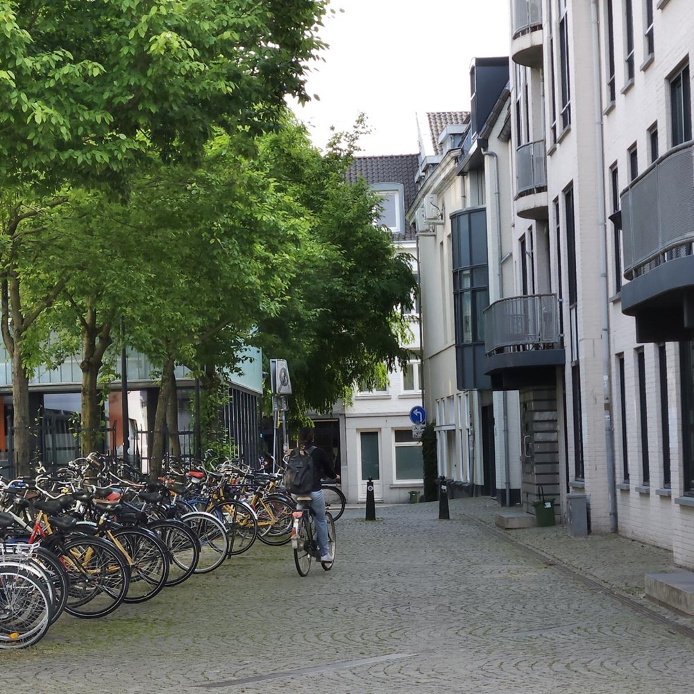 “Ze maakten dit steegje onleefbaar voor ons”