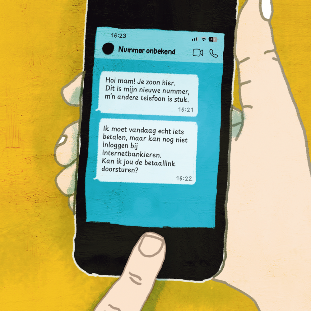 Een kat-en-muisspel met online oplichters: 