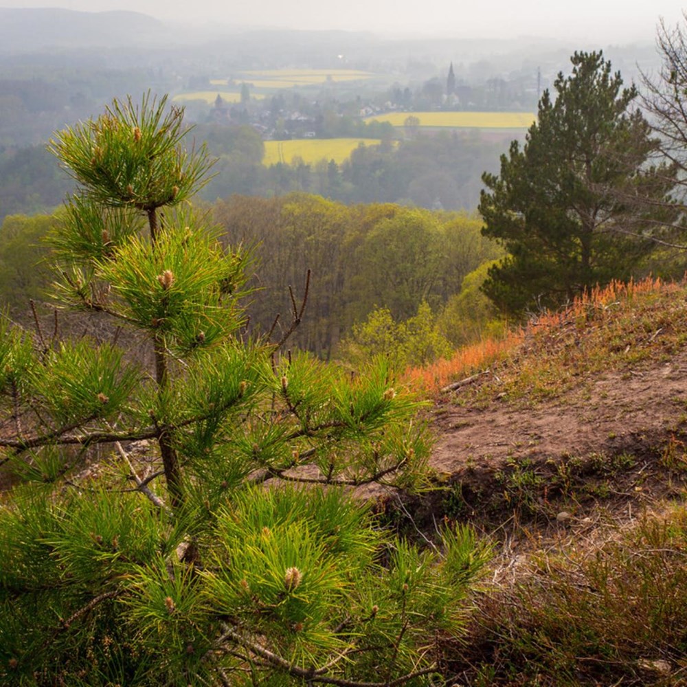 The  Eifel is 'moving': consequences for the Einstein Telescope?
