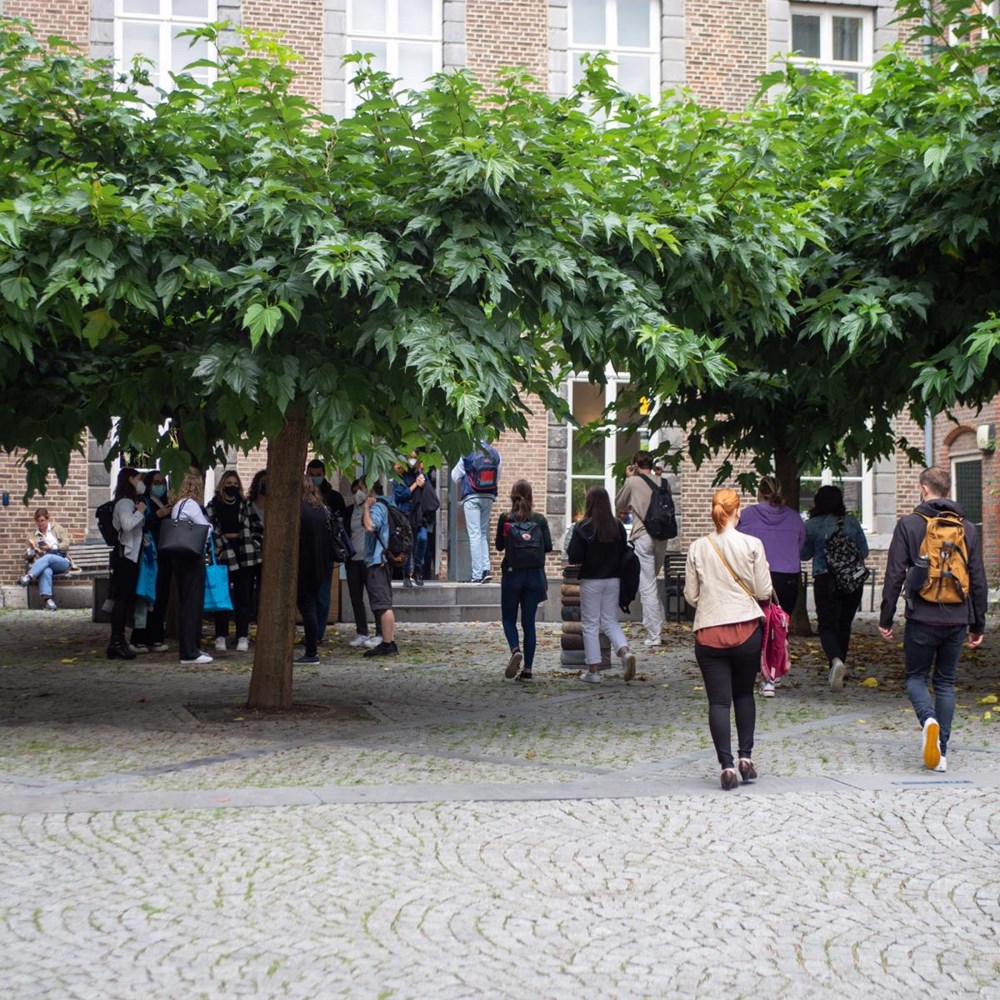 Fasos board and academic staff clash over declining enrollment figures