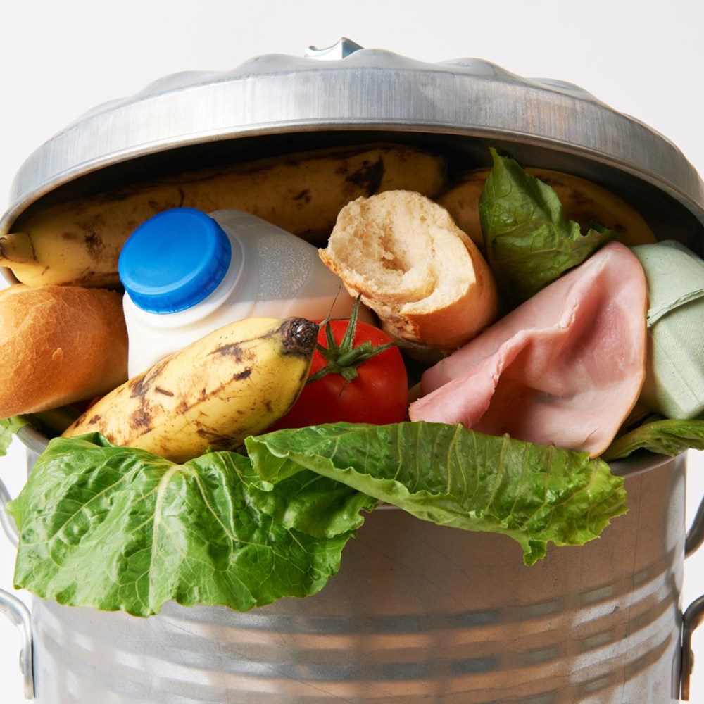 UM caterer saving food from bin with app