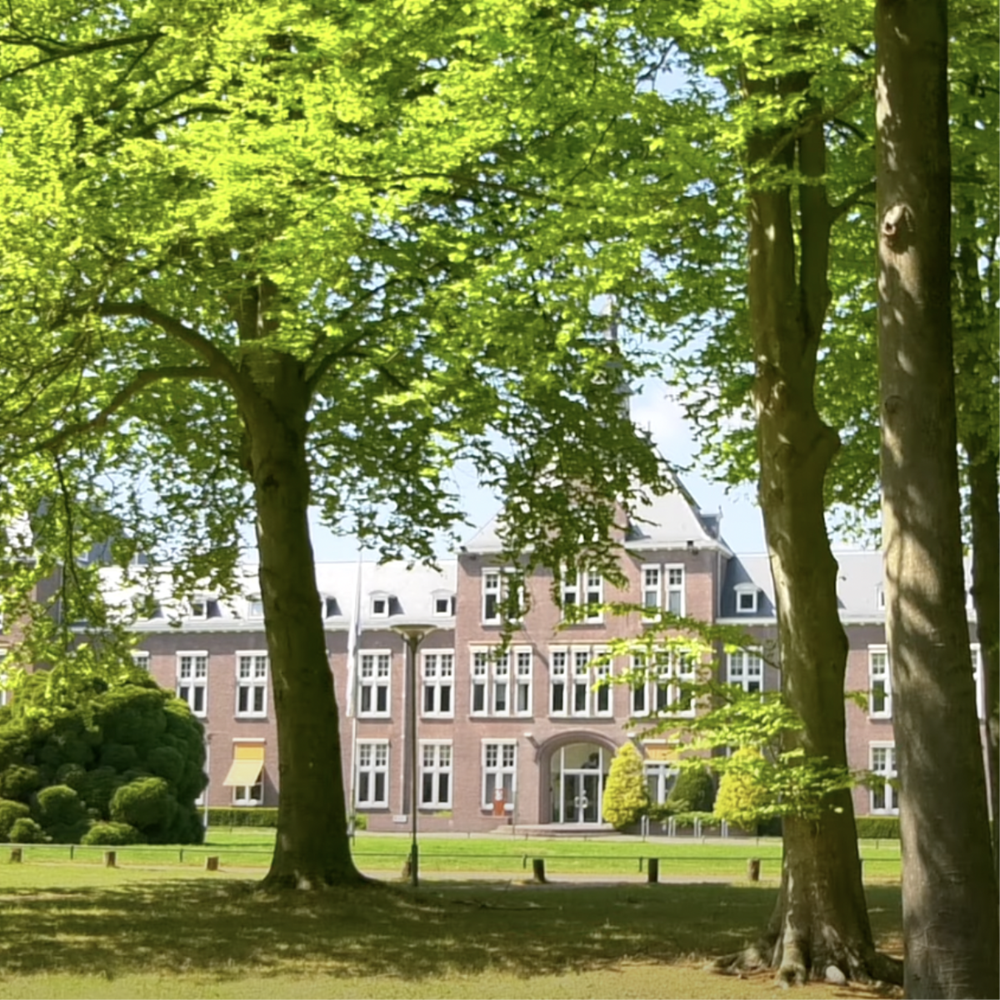Maastricht professor loses training authority