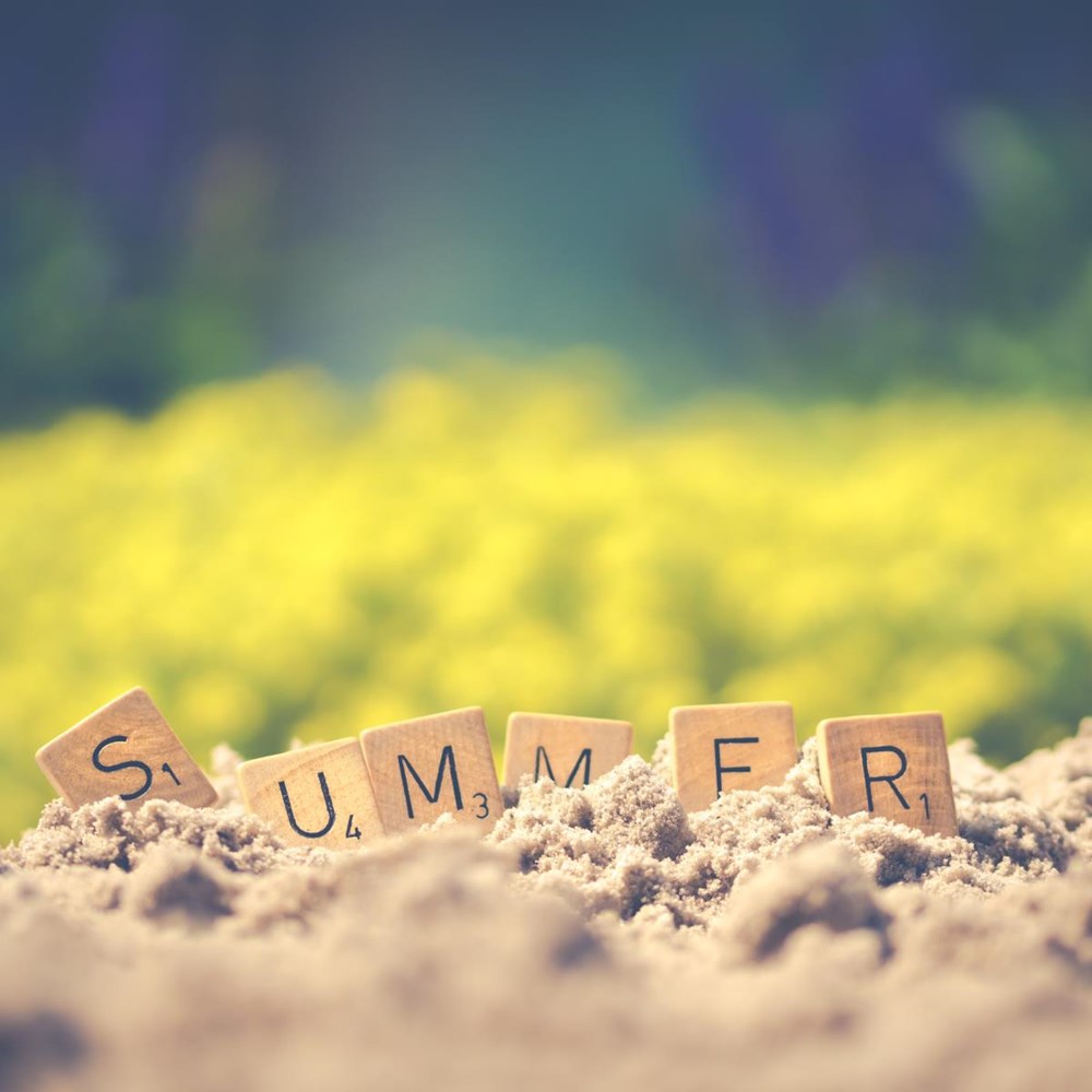 New impulse for Summer School