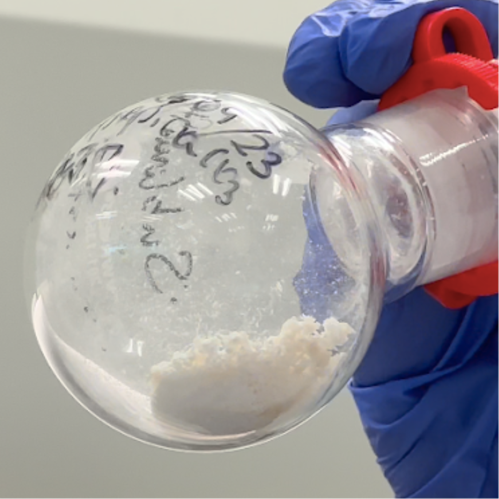 Intestinal bacterium repairs marl walls