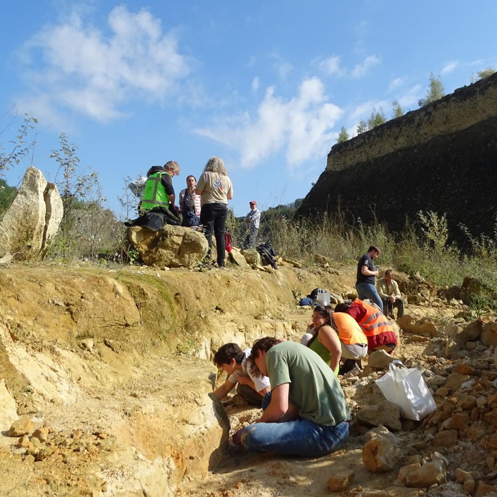 A new era for fossil hunting in Maastricht: “You could be standing right on top of a mosasaur”