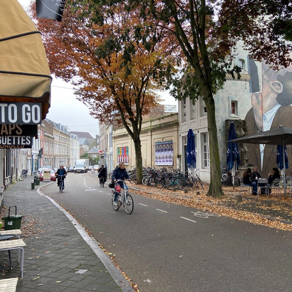 Students like living in Maastricht but see room for improvement