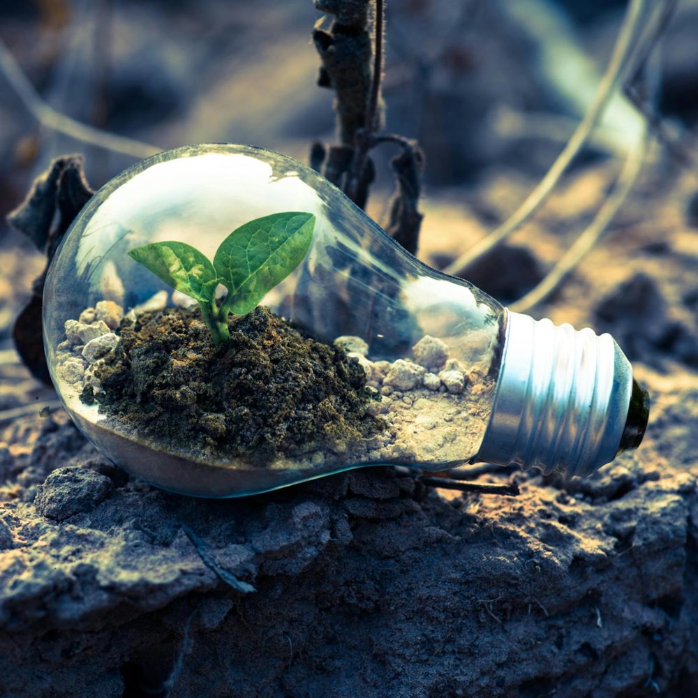 Maastricht Sustainability Institute now also fully part of SBE financially