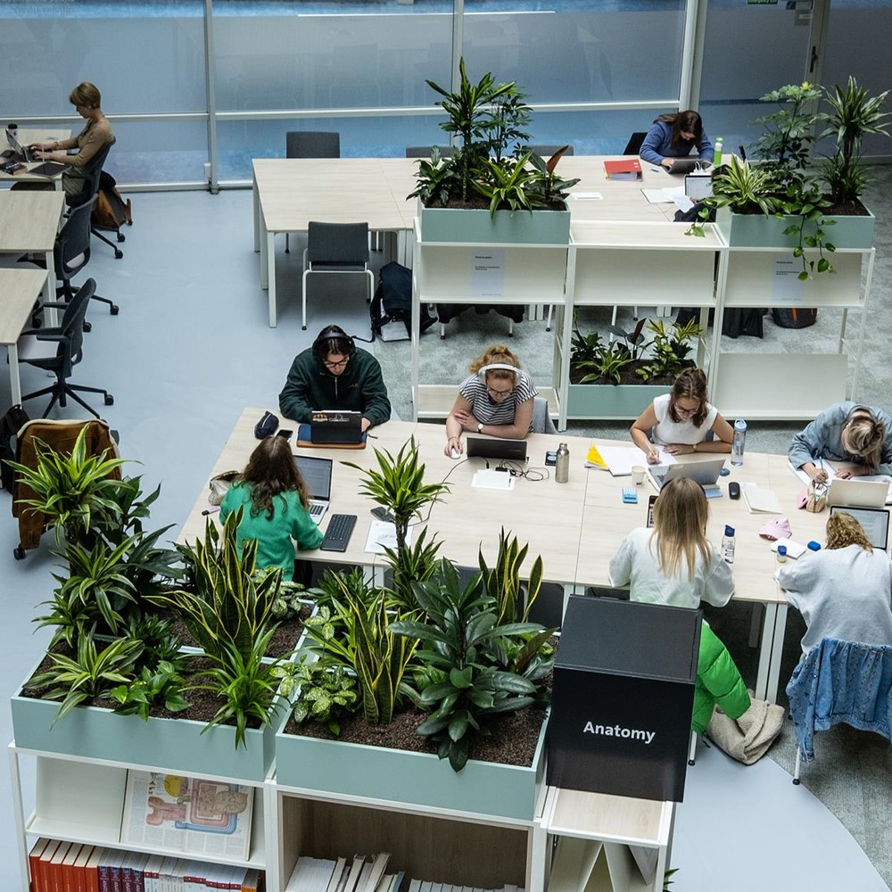 “Are we being used as guinea pigs for a new assessment system?”