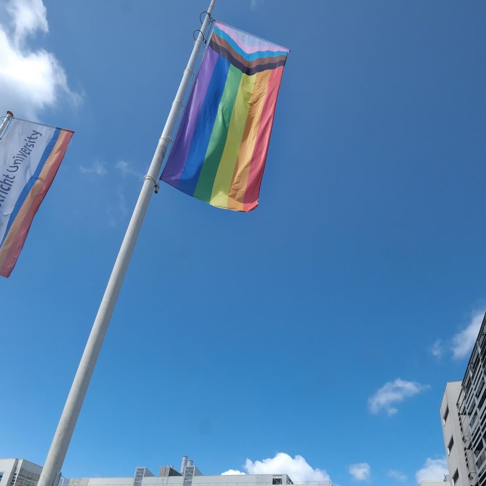 Pride Month: also raised flags on university grounds
