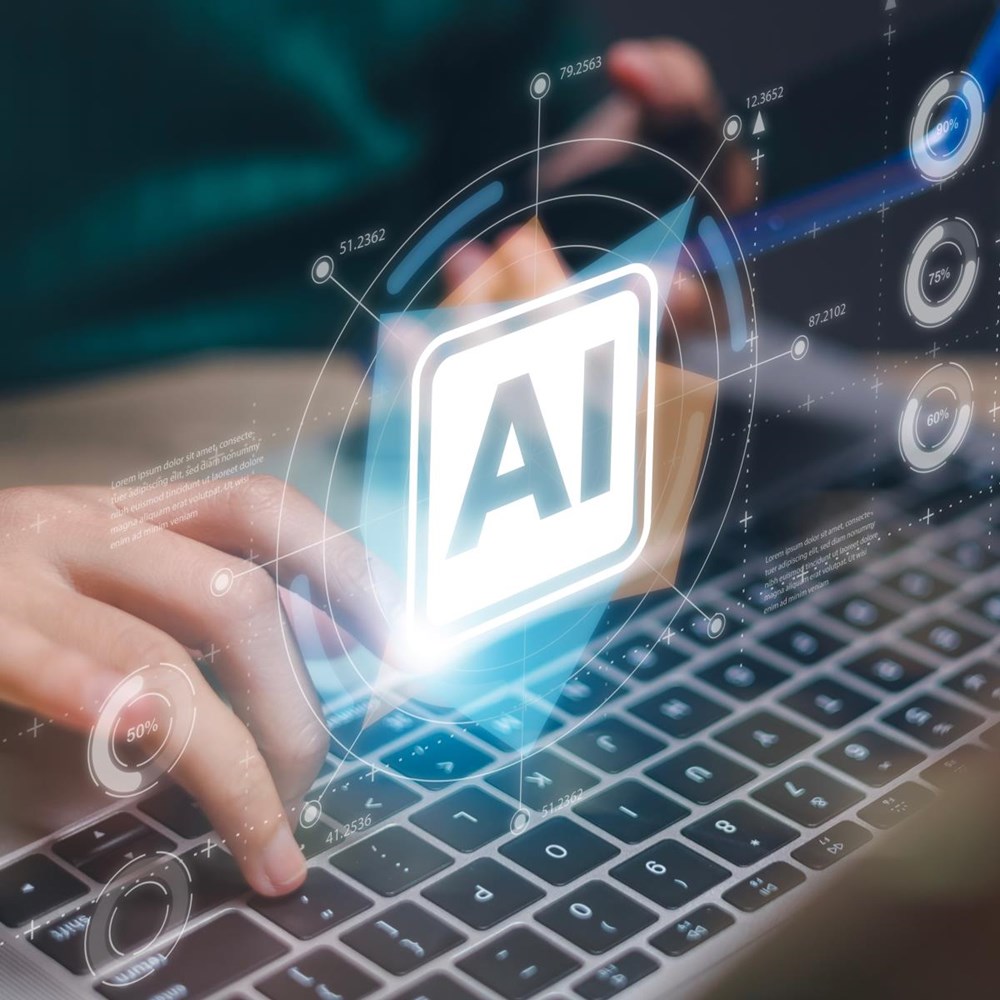 Manual for AI use in Law: “Although you can’t possibly cover all bases”