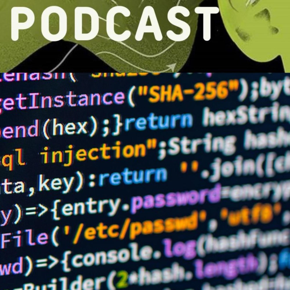 Podcast - episode 8 Exploring digital boundaries and capturing the virtual flag