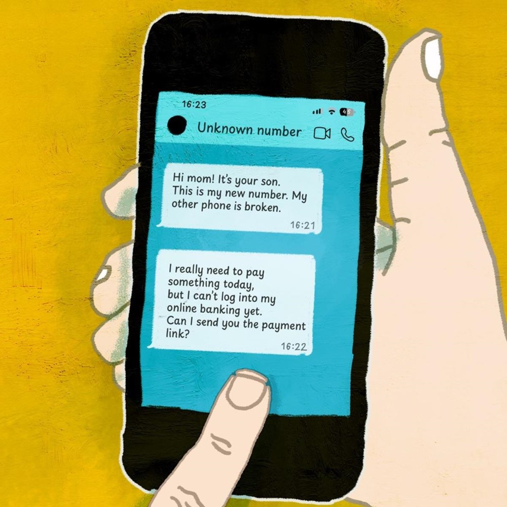 A game of cat and mouse with online scammers: 