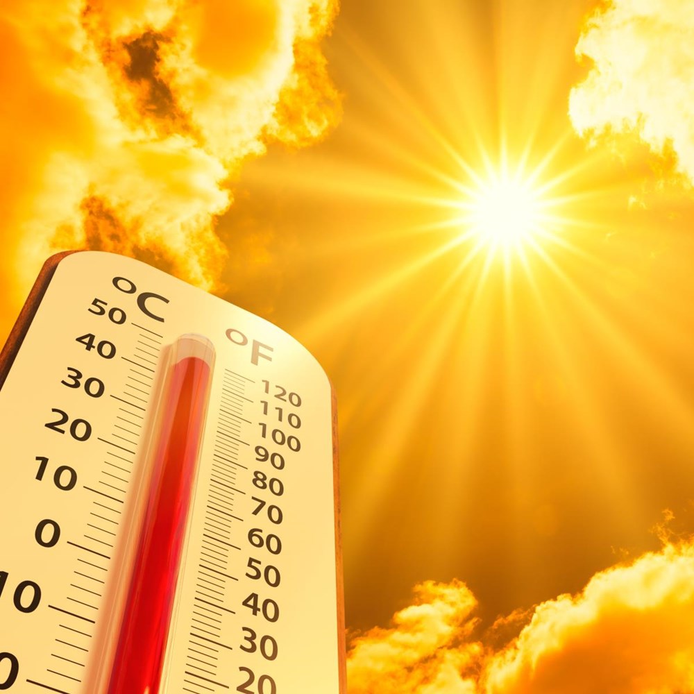 Heat stress, poor air quality and water pollution