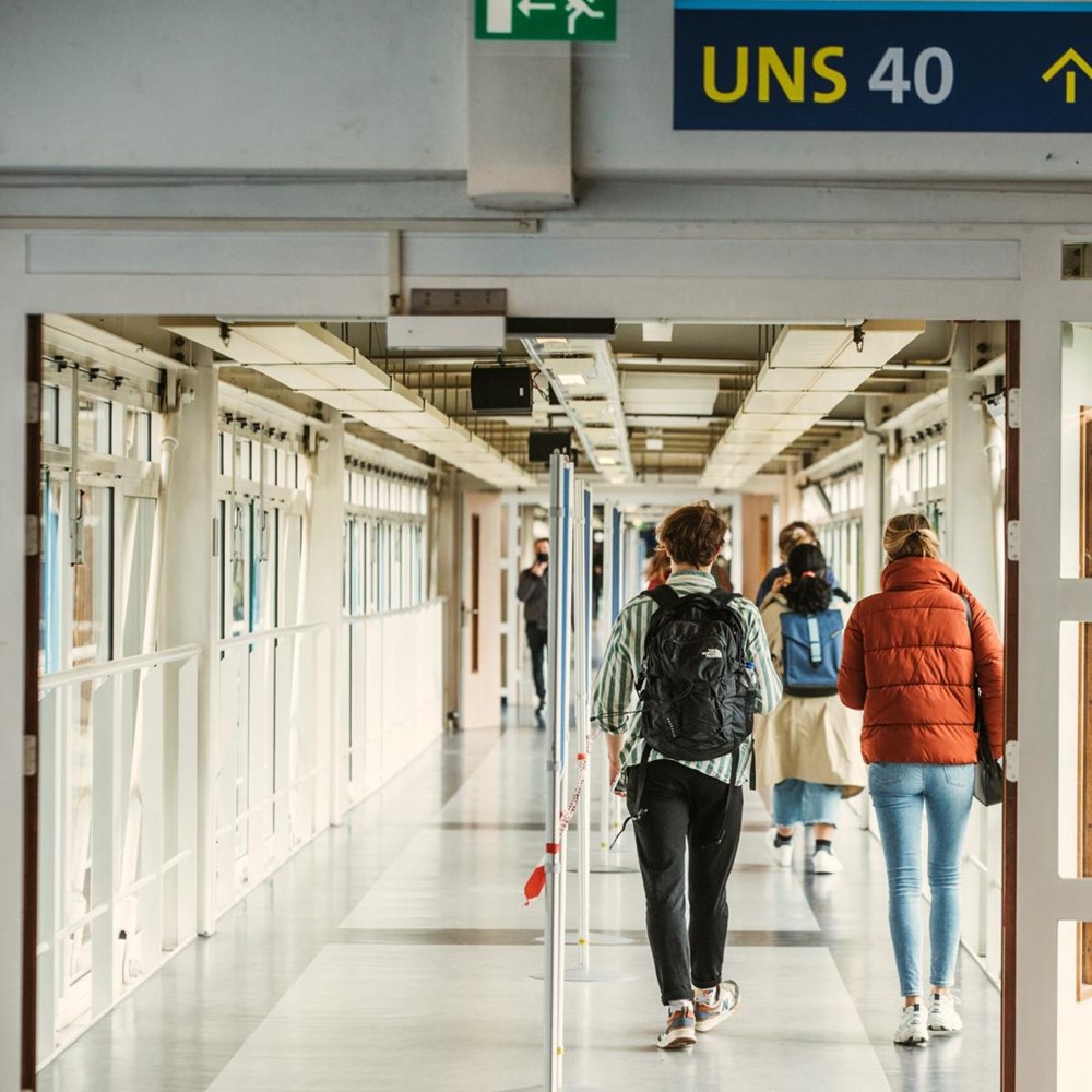 Applications for Medicine down by half