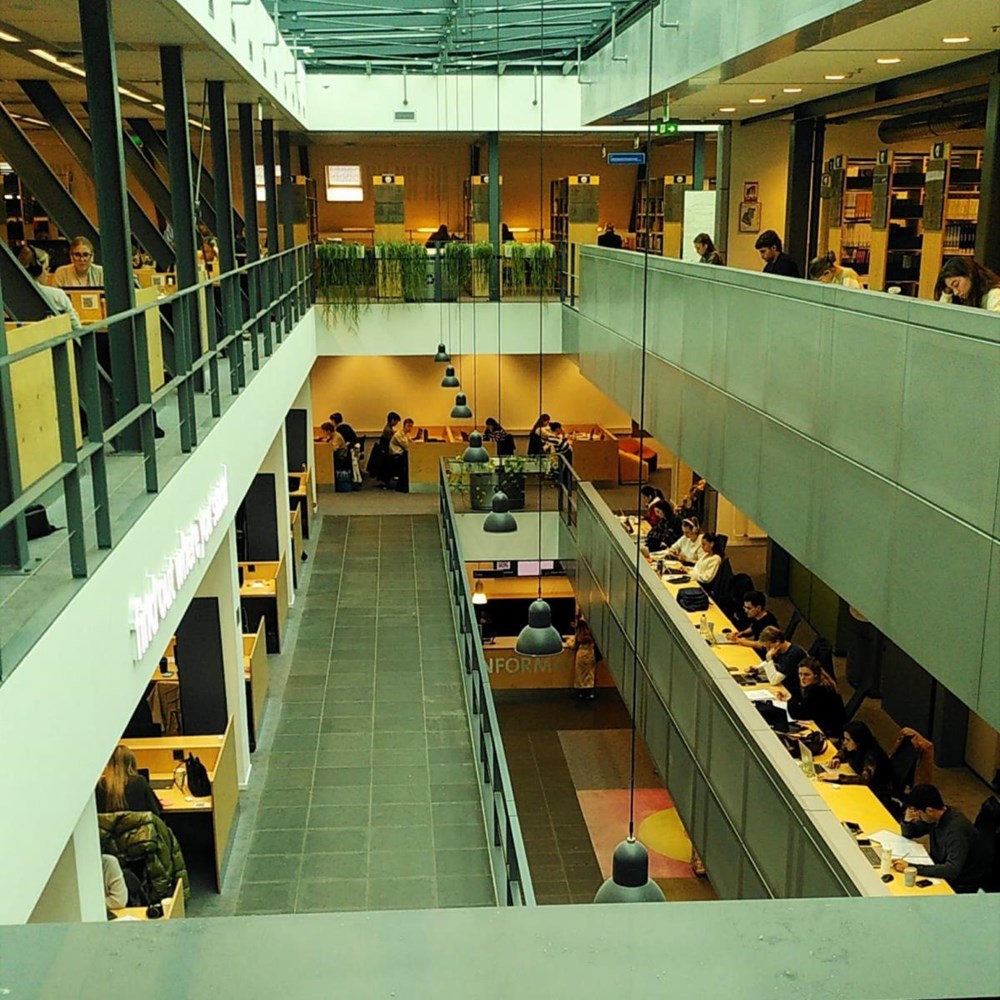 Students feel less academic pressure