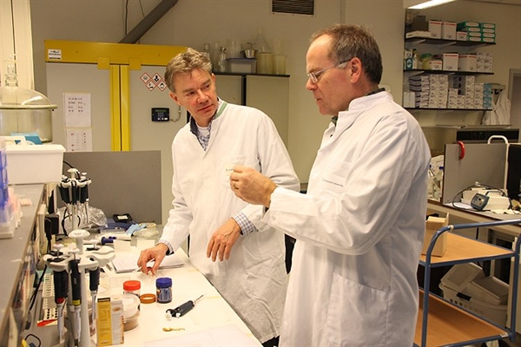 Waarom hamburgerkruiden geen optie waren