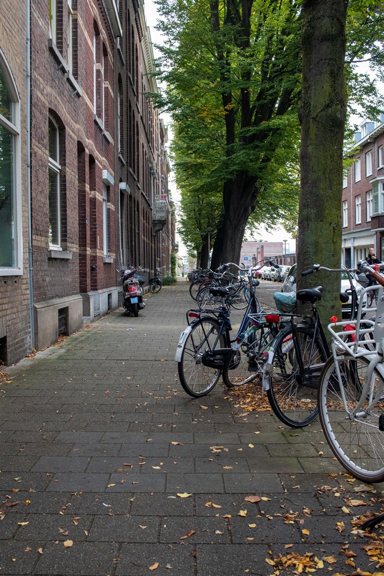 Ergernis over Dutch only-kameradvertenties