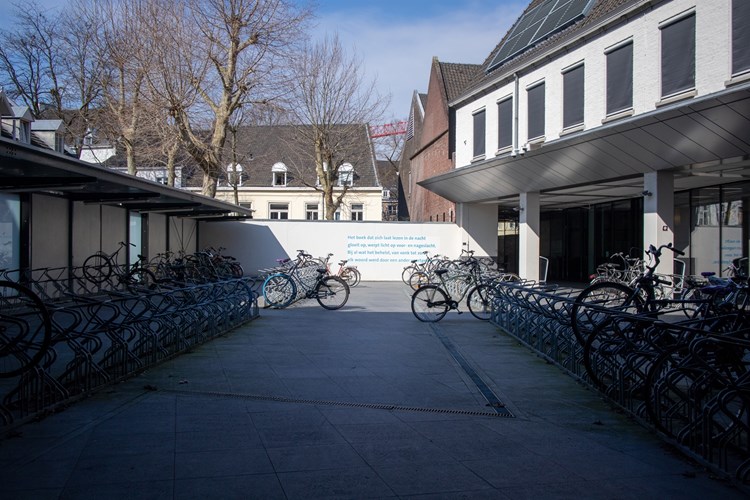“Als ik de hele dag op mijn kamer studeer, word ik gek”