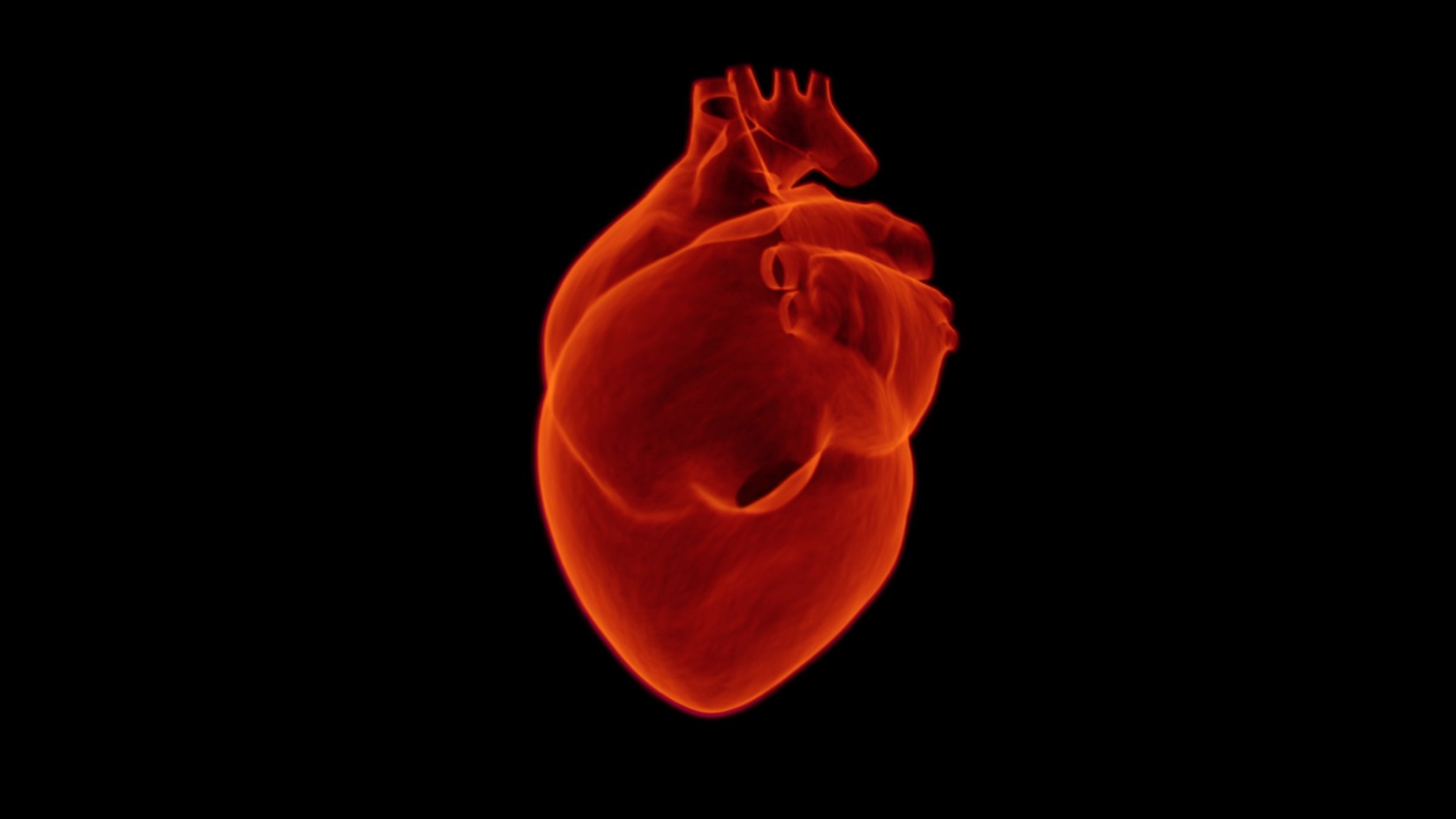 ‘Digitaal hart’ moet artsen helpen met het stellen van diagnoses