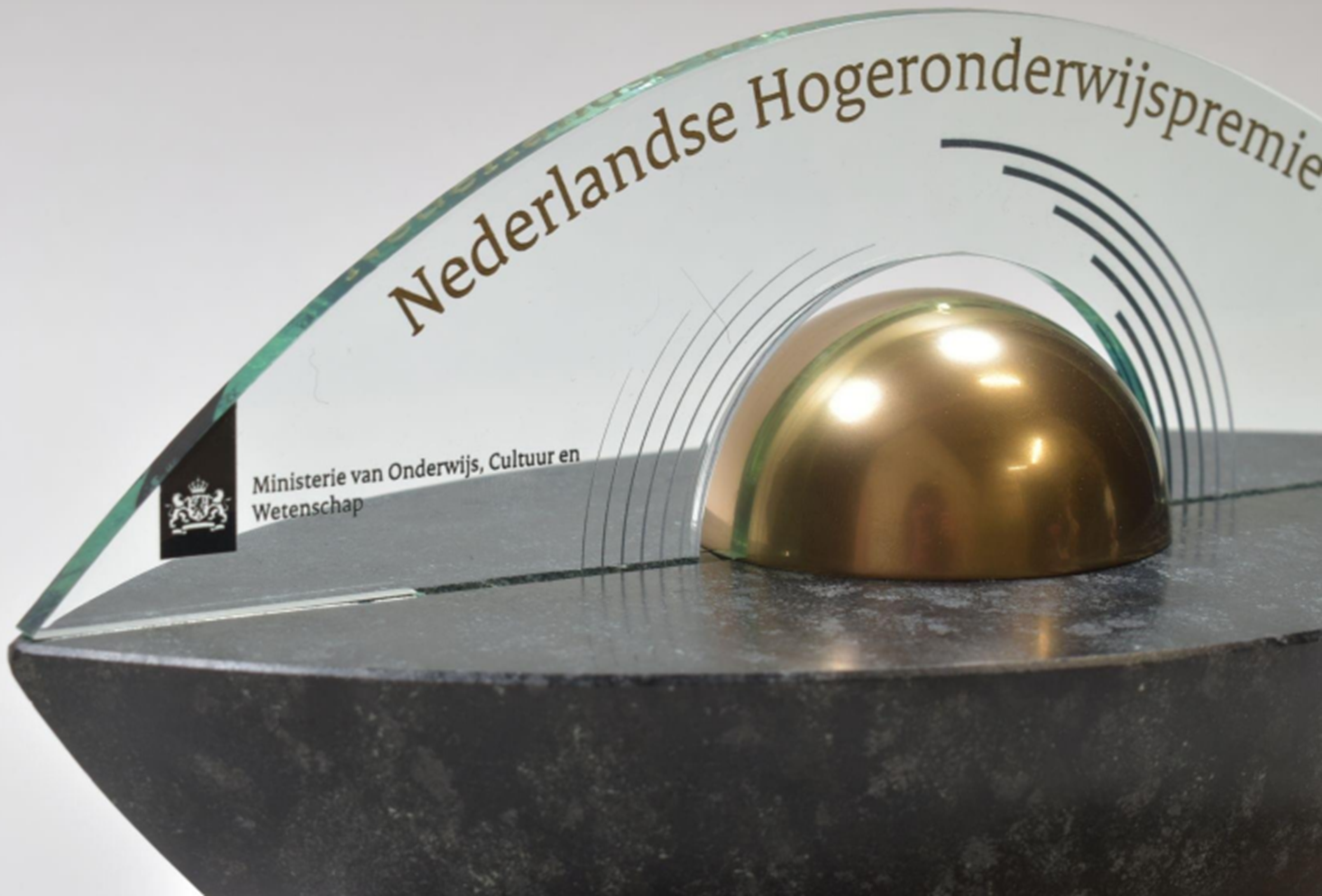 De UM grijpt met de opleiding Global Studies naast de prijzen
