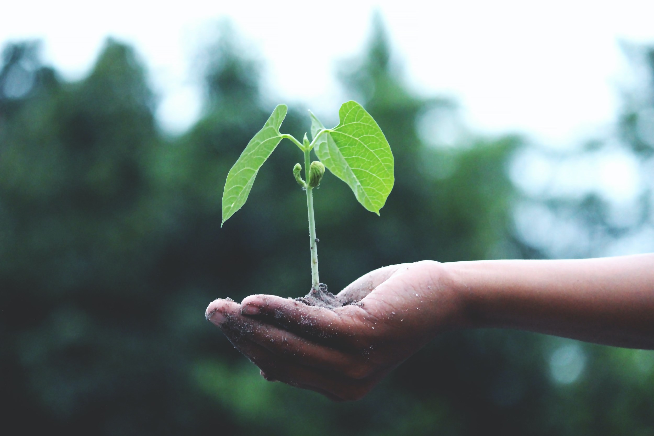 Van lichtsensoren tot onderzoek naar bioplastic