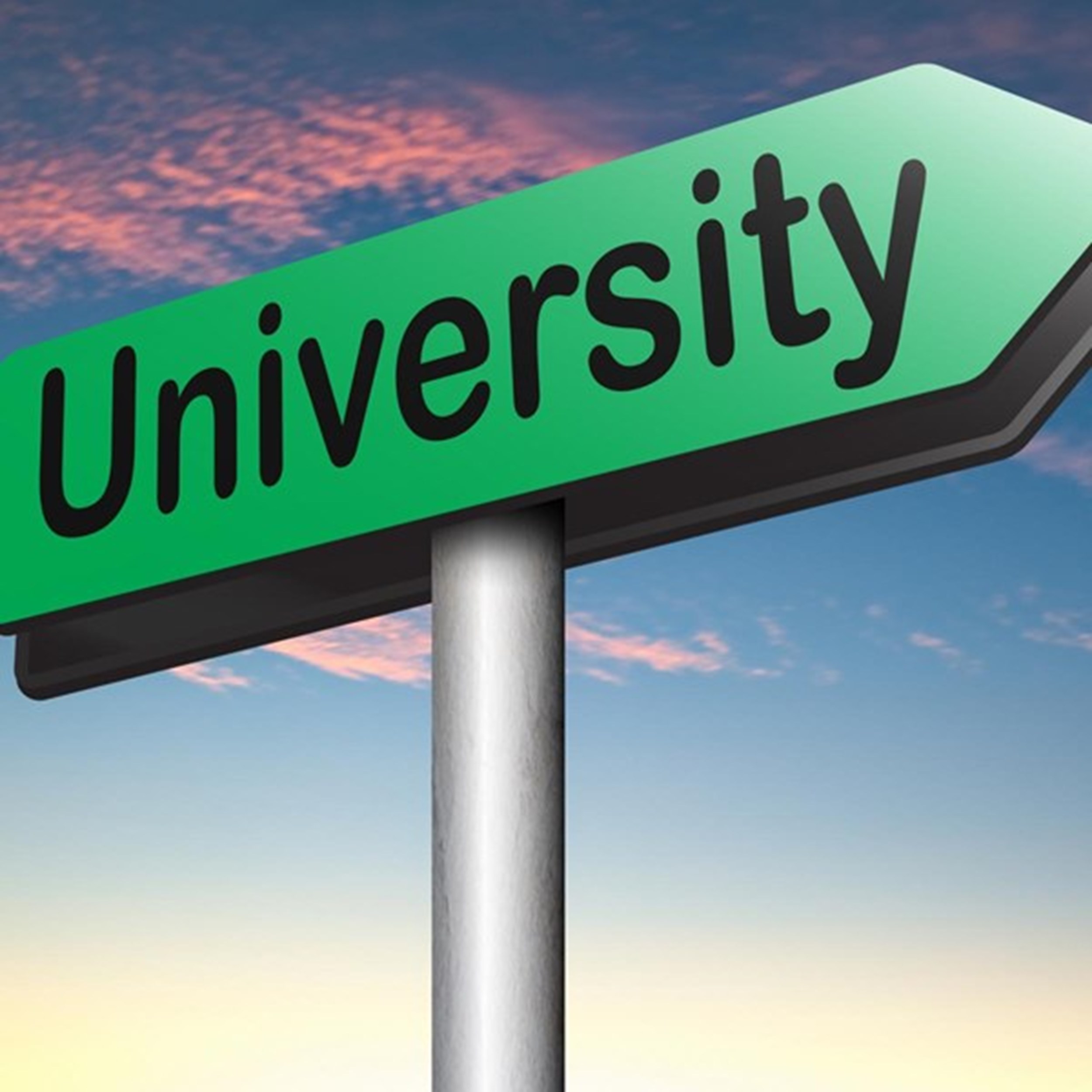 Collegevoorzitter Letschert: Universiteiten verschillen, daar hield deze wet geen rekening mee