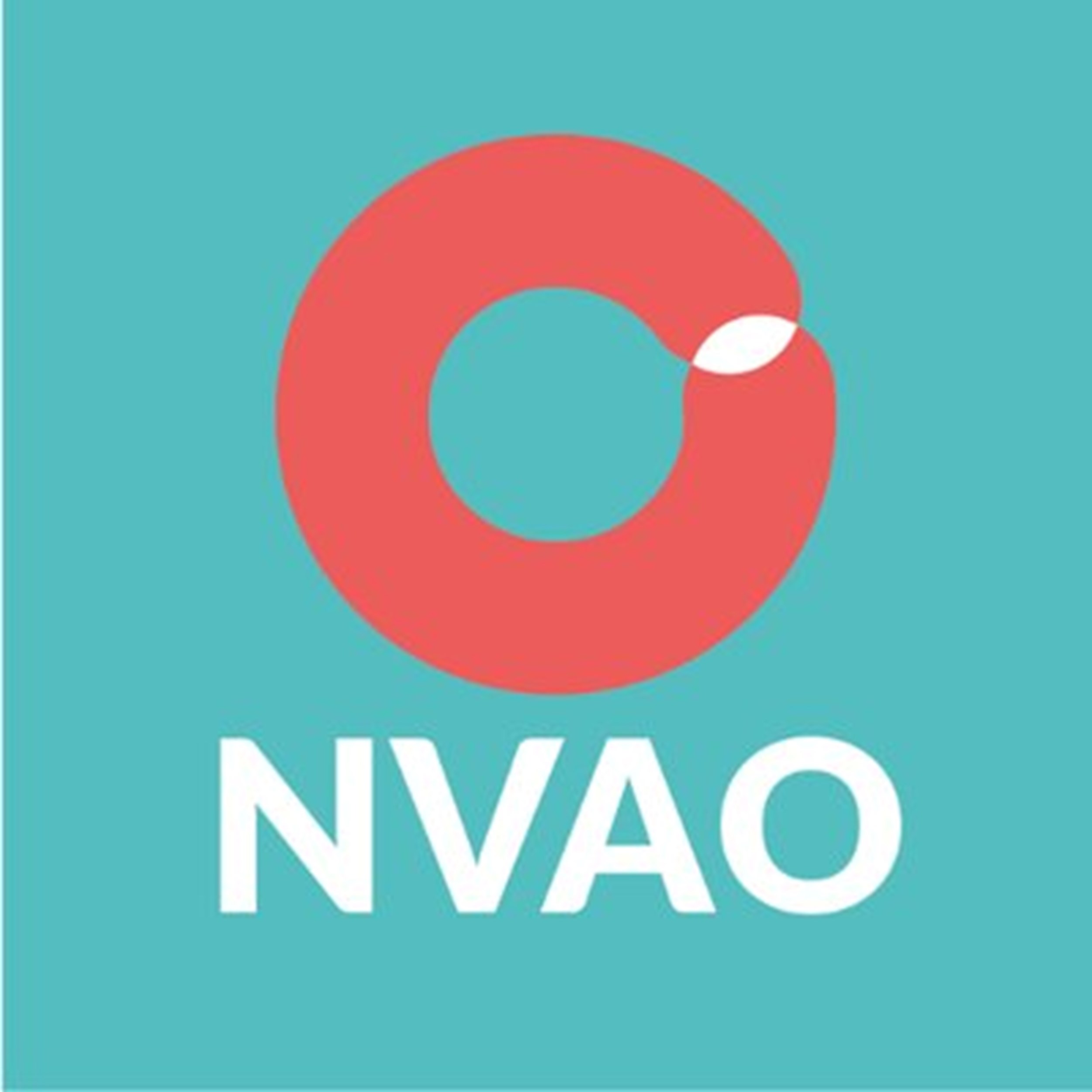 Onderwijskeurmeester NVAO krijgt nieuwe voorzitter