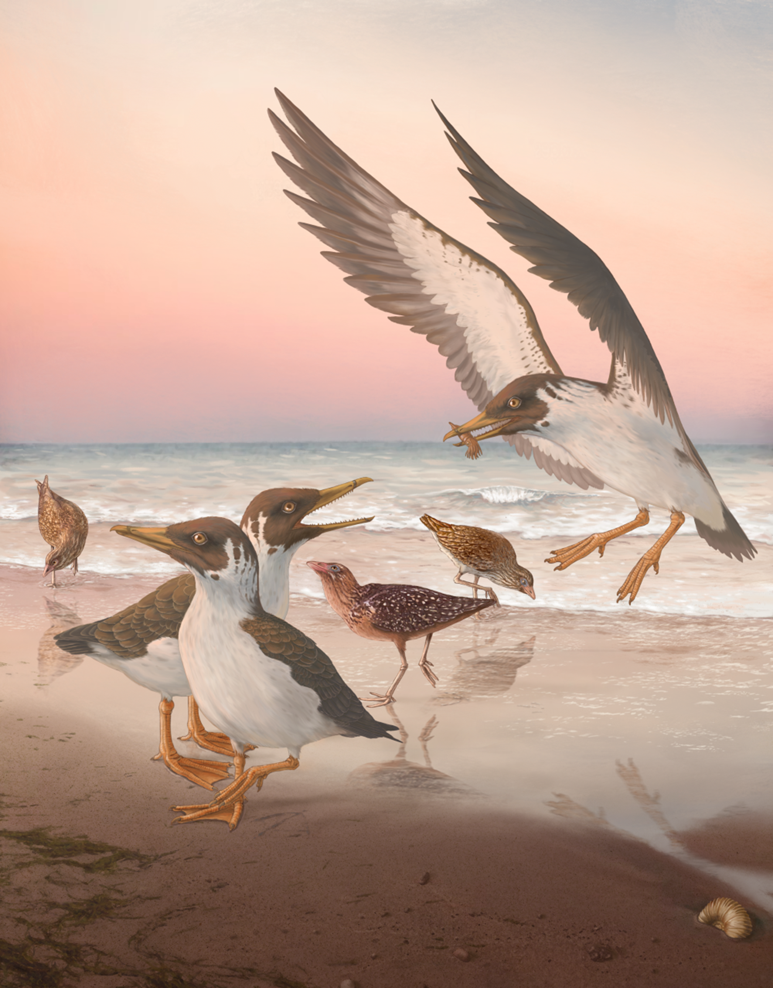 Vreemde vogels in Natuurhistorisch museum en te weinig ruimte voor boeken in Leiden
