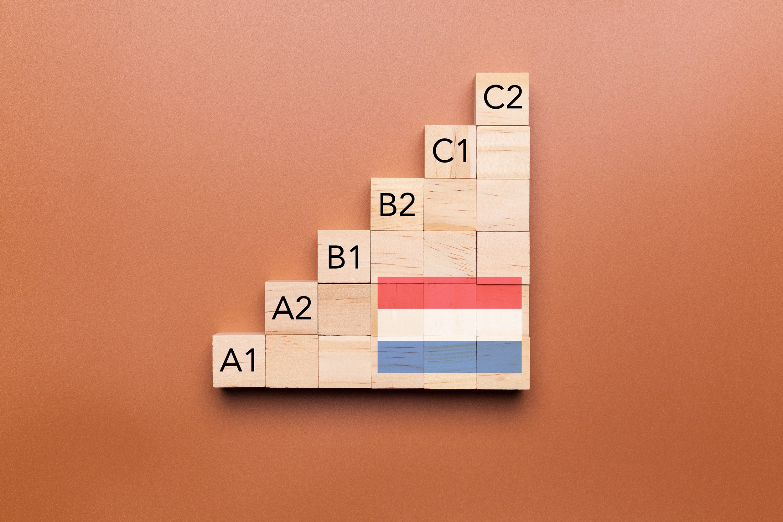 Kamer wil helderheid over voertaal onderwijs