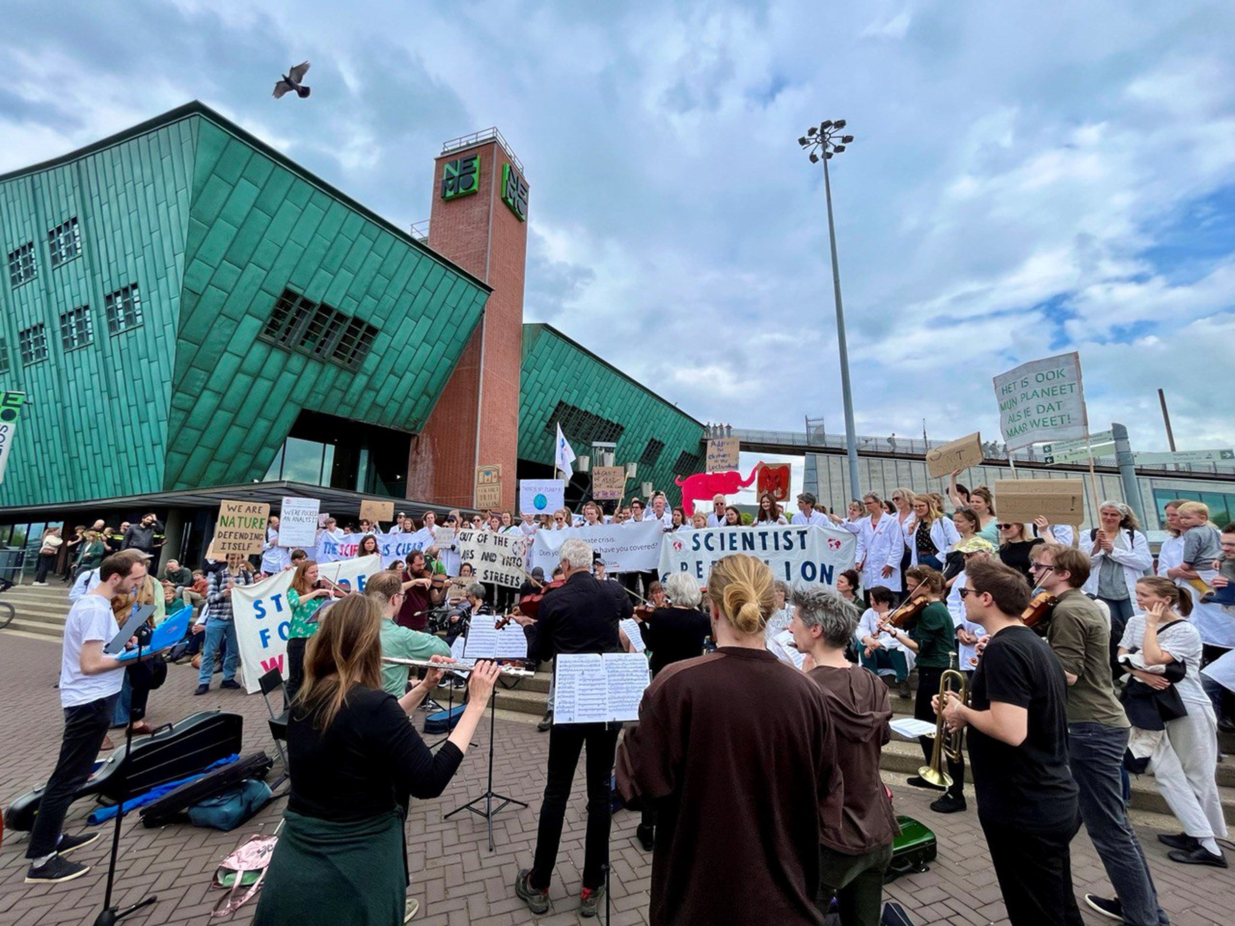 Bezettingen aan universiteiten door klimaatactivisten
