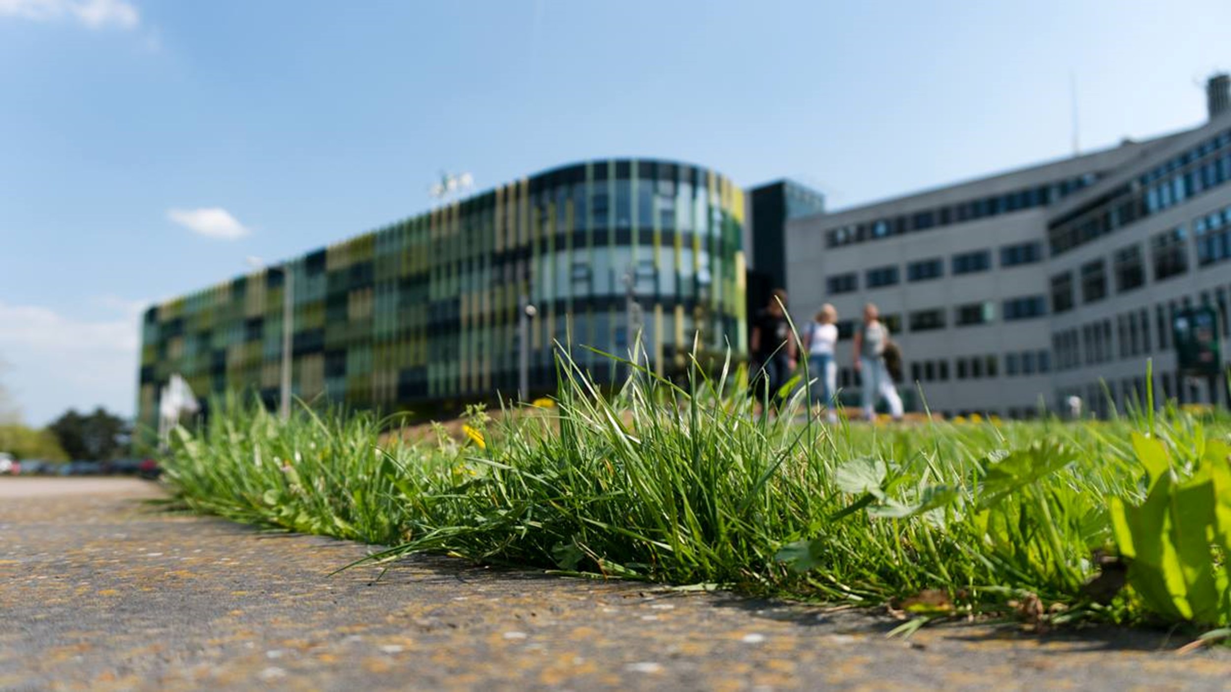 Saxion wil ‘persoonlijk gesprek’ met docent over haat-tweets