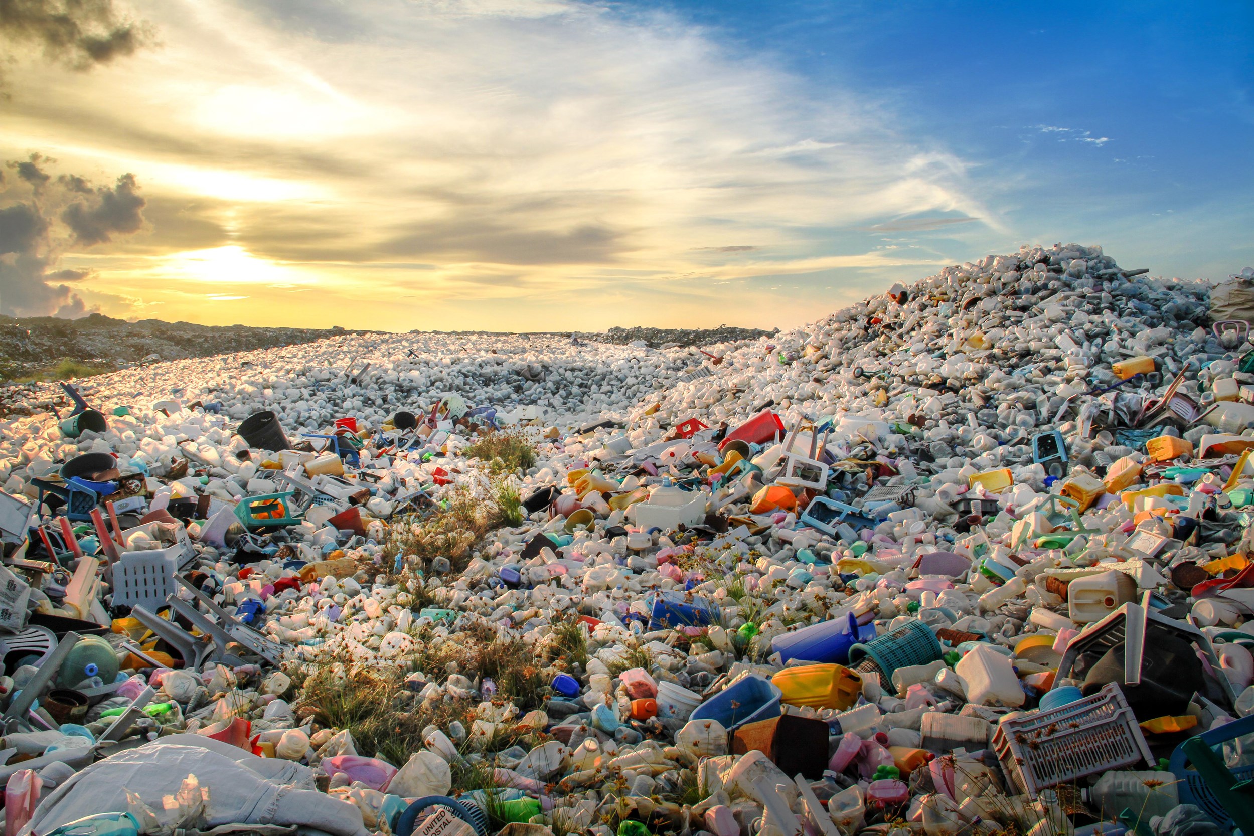 Plastic proeftuin op Chemelot