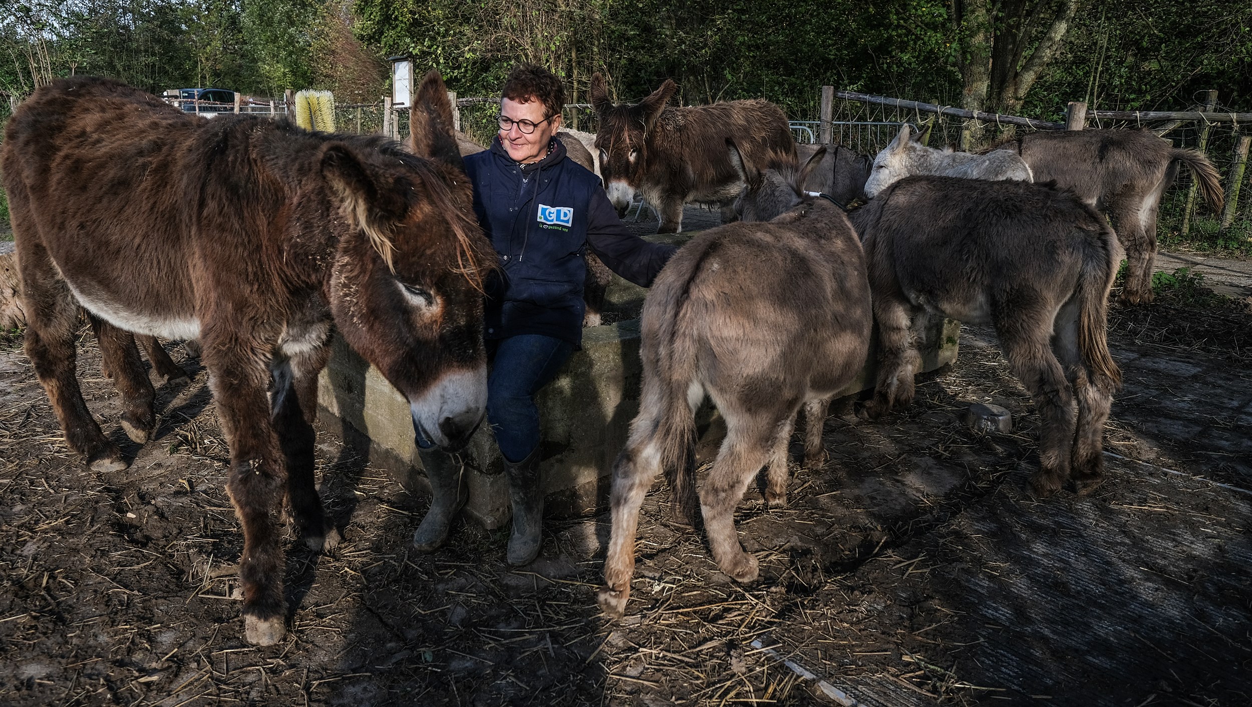 Meer dan alleen ezels knuffelen