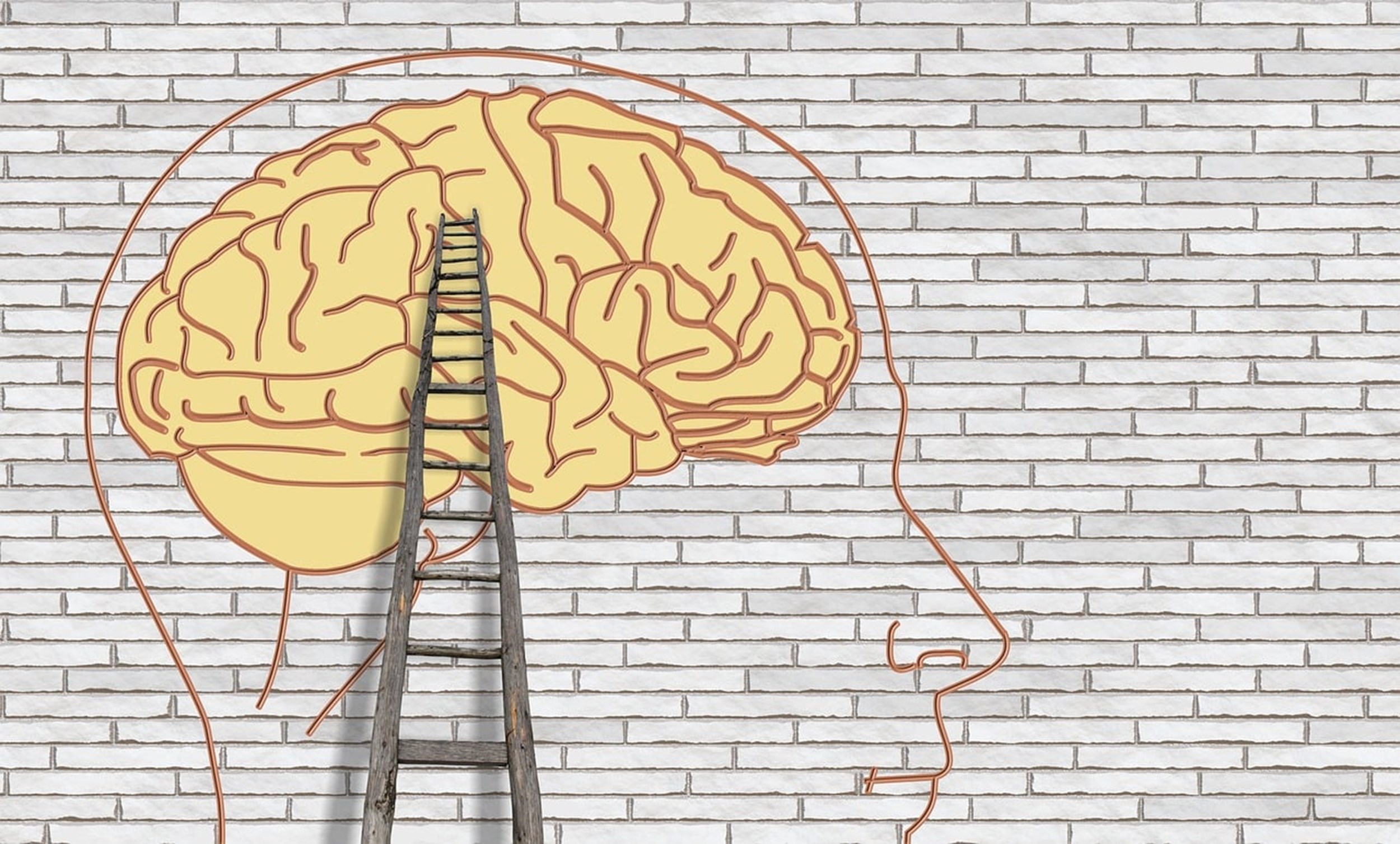 FPN wil aantal plaatsen master Mental Health beperken