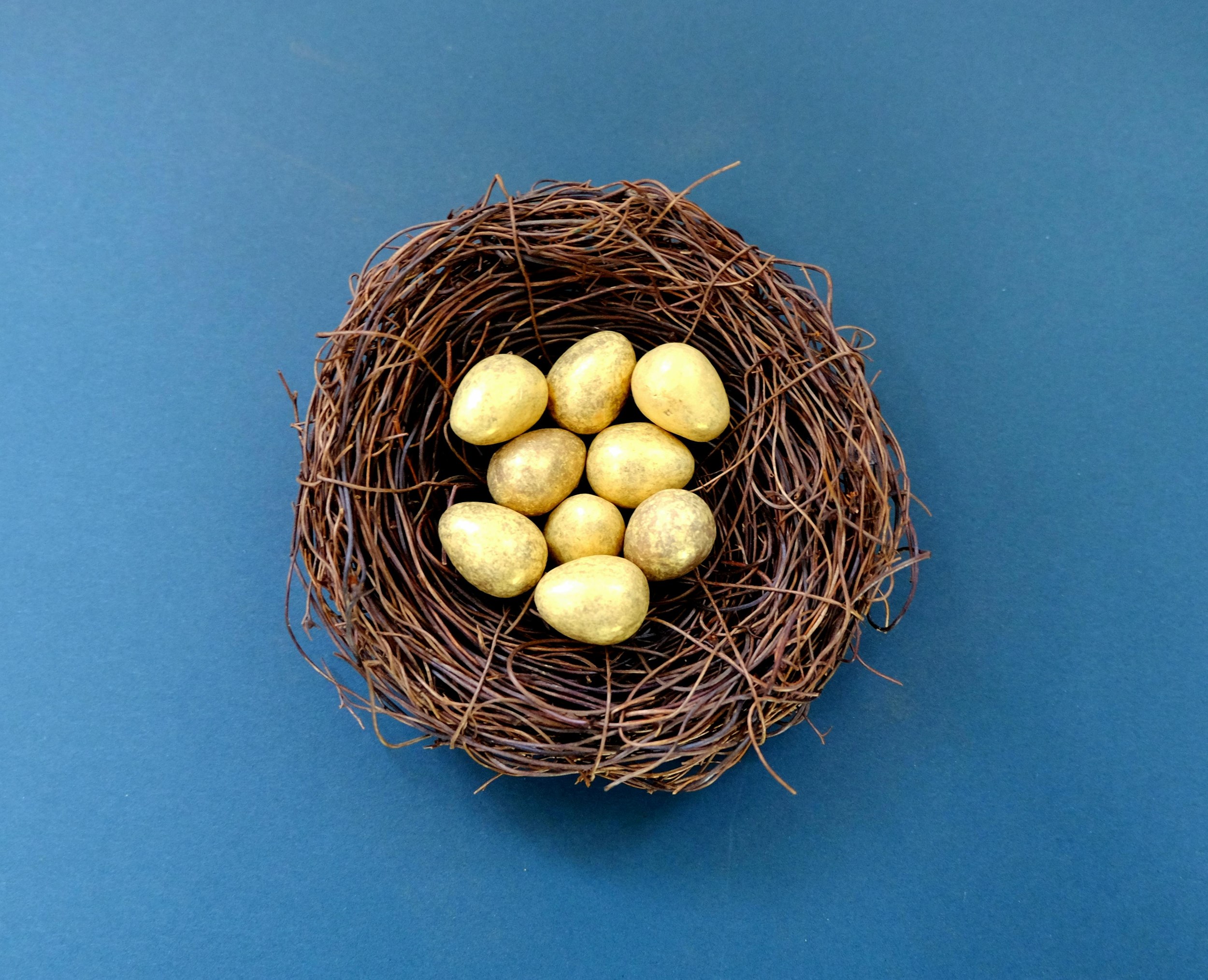 Zoek de gouden eieren