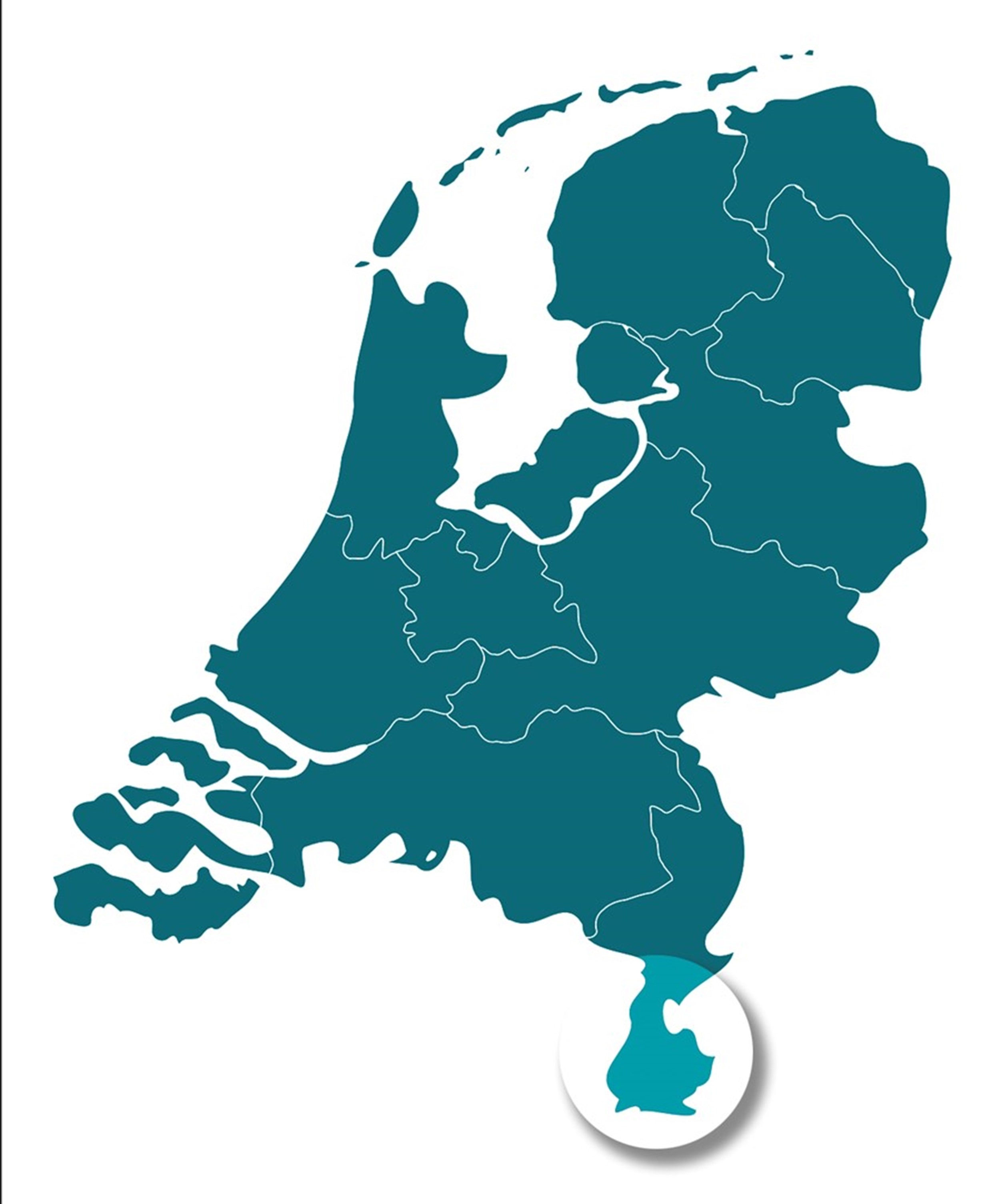 Universiteiten: 35 bacheloropleidingen krijgen Nederlandstalige variant