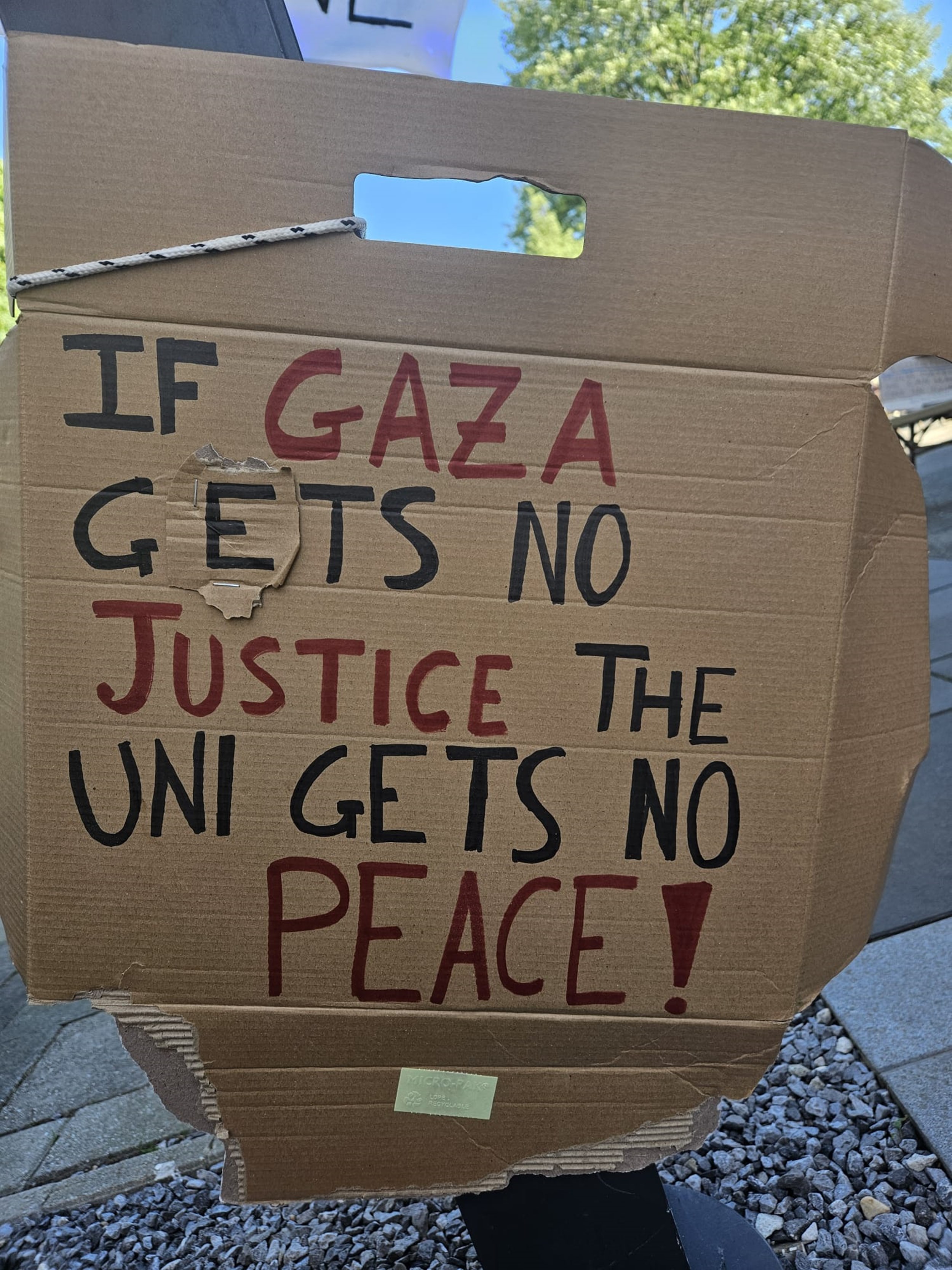 Pro-Palestijnse bezettingen bij UvA en Radboud Universiteit