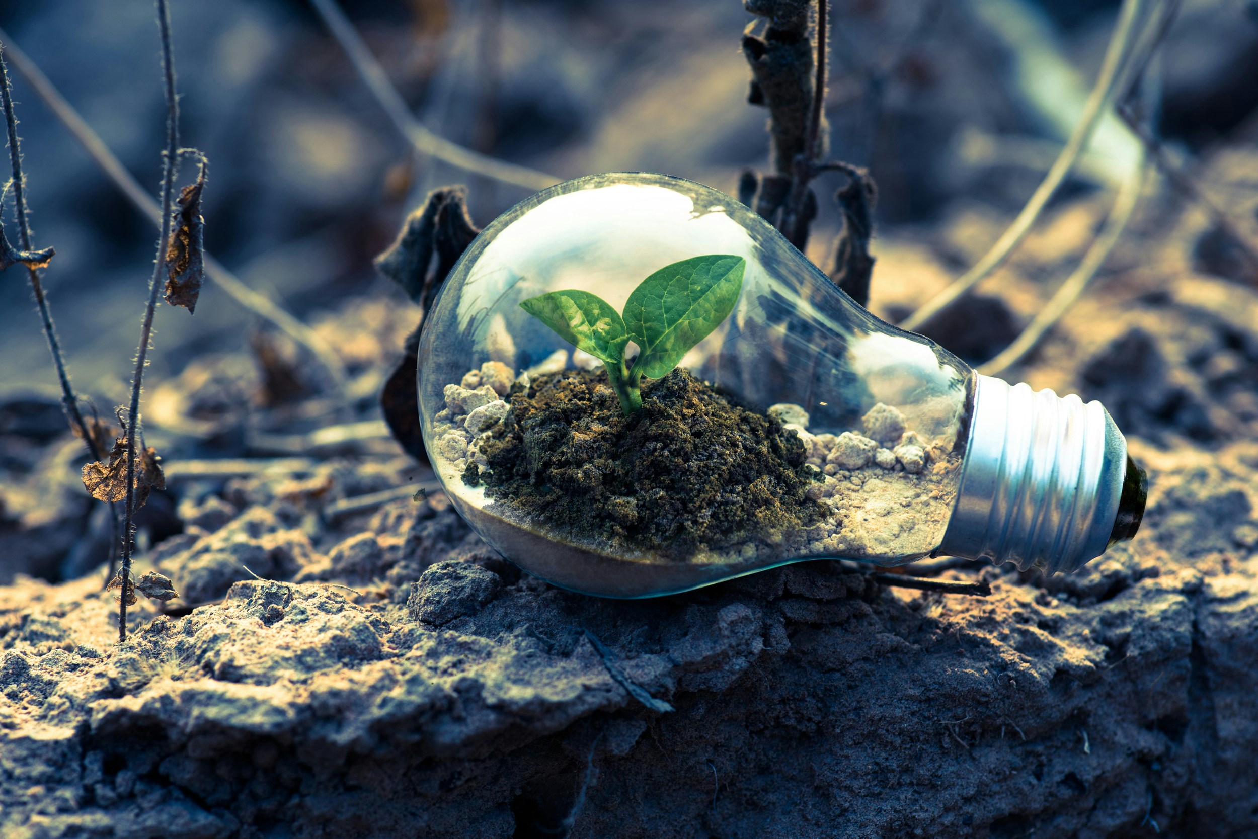 Maastricht Sustainability Institute nu ook financieel helemaal deel van SBE