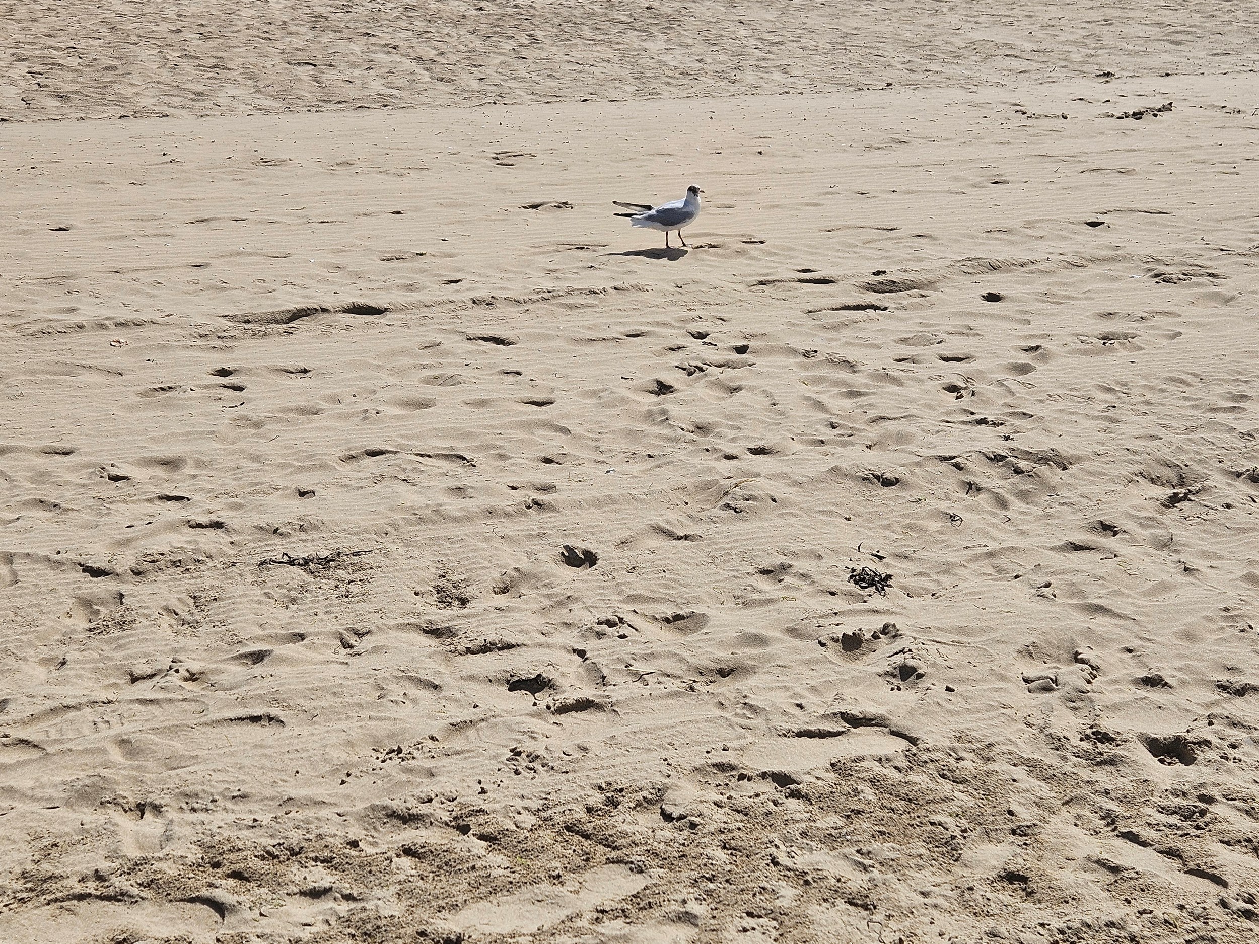 Ondertussen deze zomer…